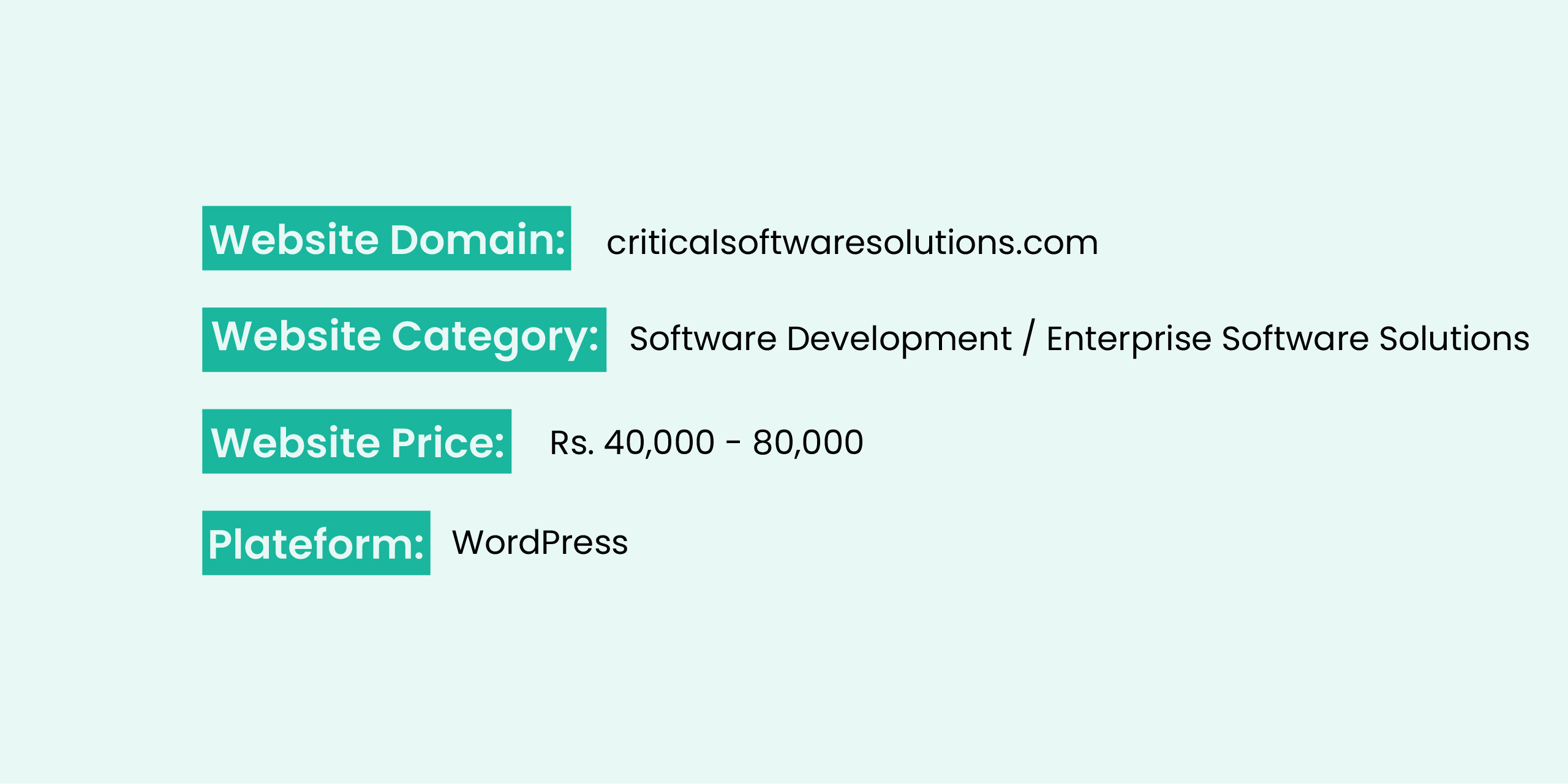 criticalsoftwaresolutions website