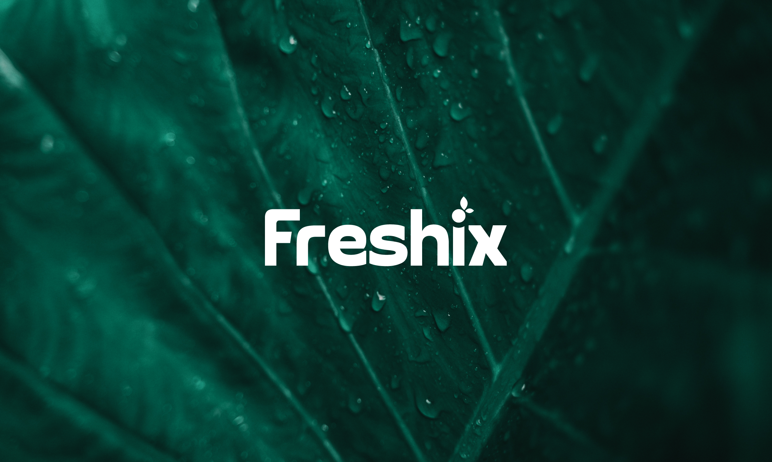 Freshix Logo, Packaging & Brand Style Guide