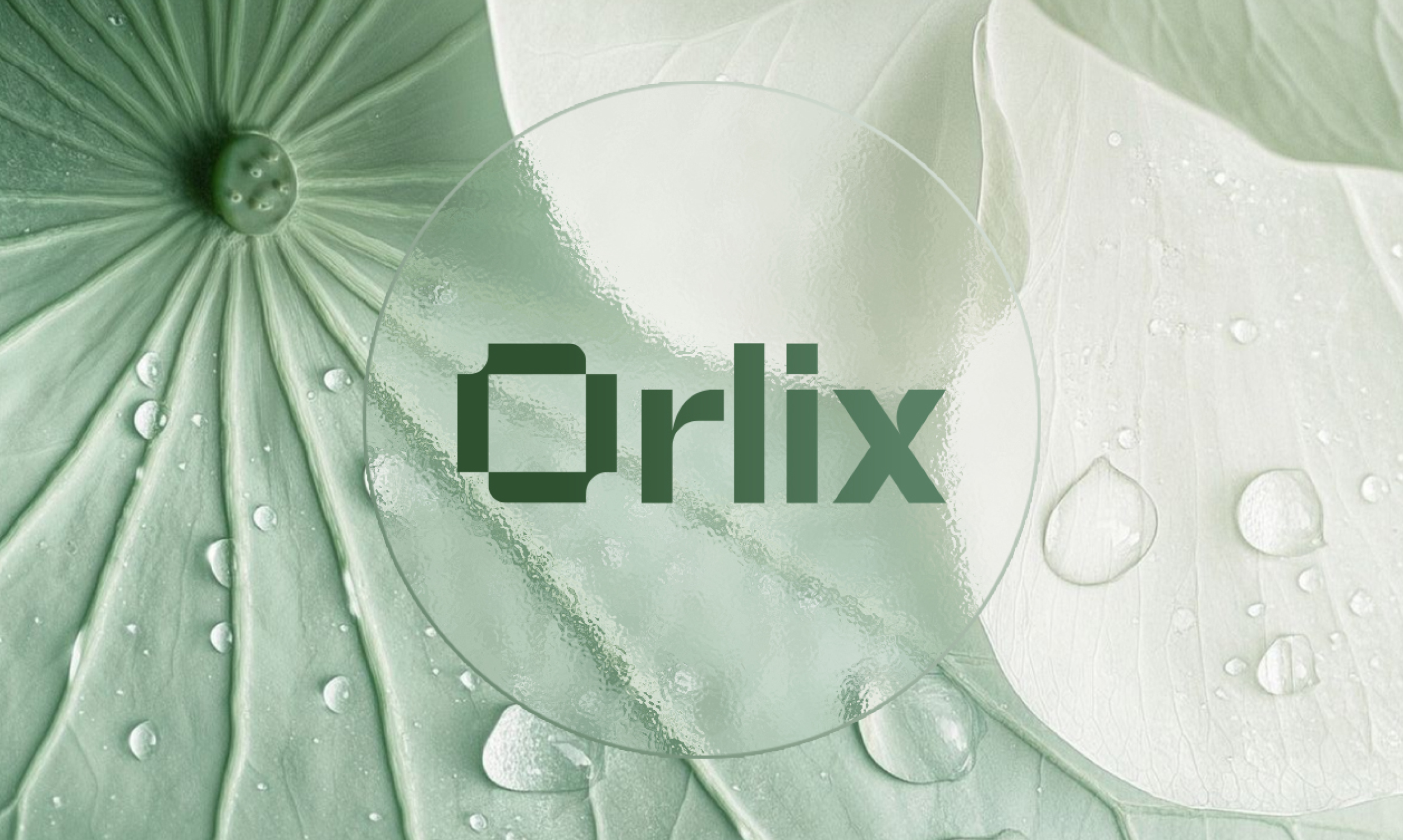 Orlix Logo, Packaging & Brand Style Guide