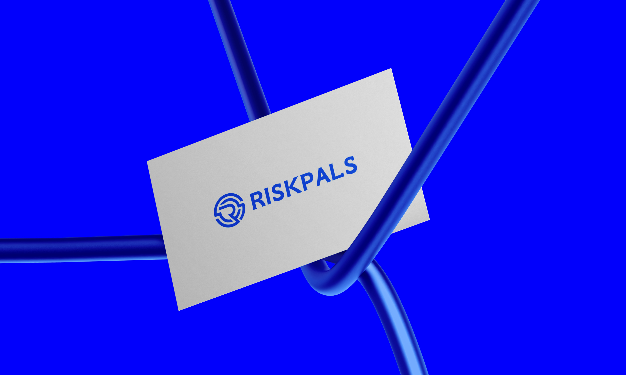 Riskpals Logo & Brand Style Guide
